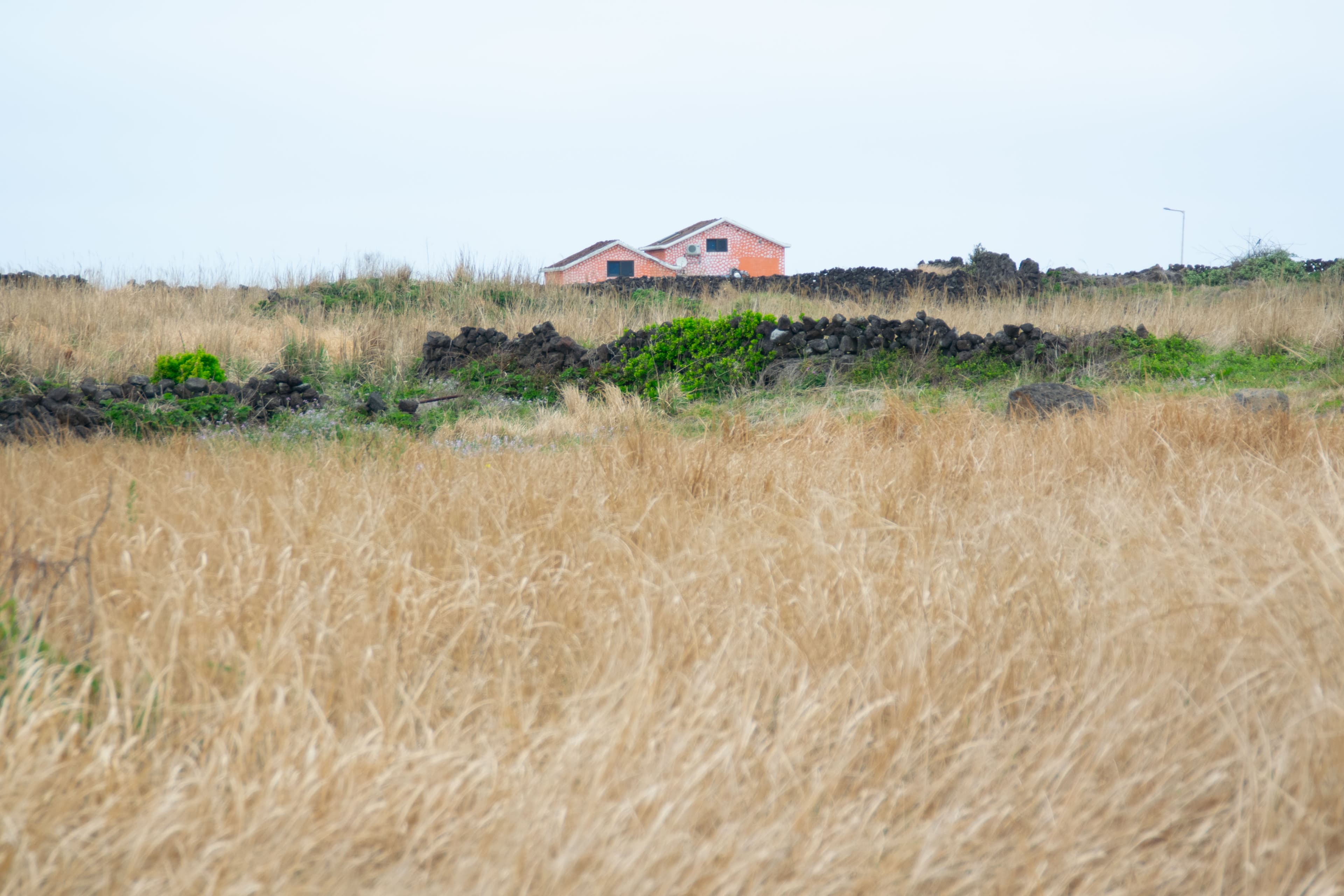 Rural landscape with houses and grassland