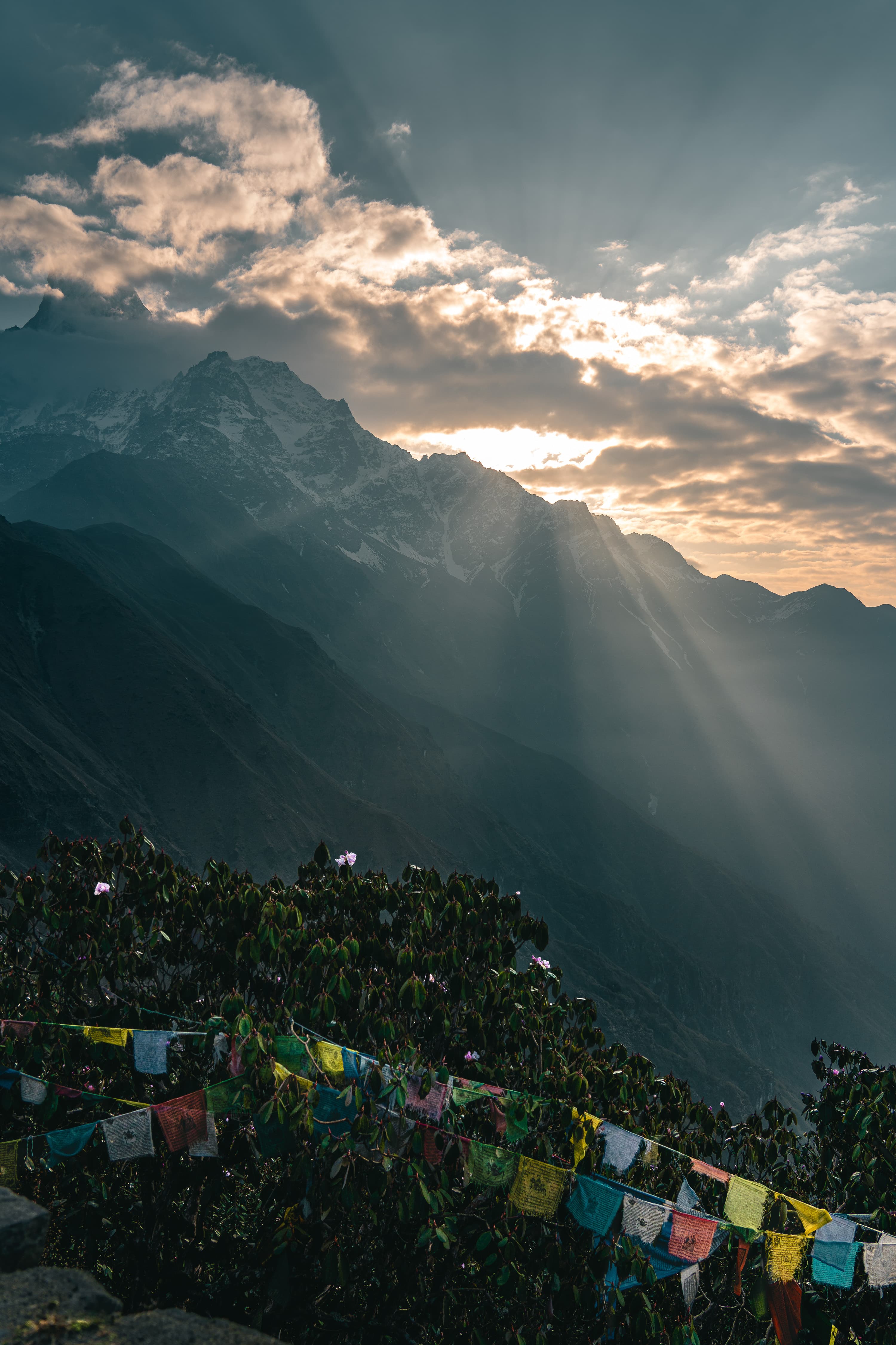 mountains and prayer flags photo